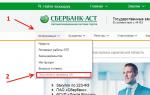 전자 거래 플랫폼 Sberbank-ast