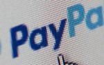 PayPal account: how to find out the number PayPal account what it looks like