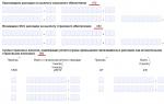 Reflejo en las líneas de cálculo de las primas de seguros del monto de las prestaciones por incapacidad temporal con fondos pagados a expensas del empleador y a expensas de la Caja del Seguro Social.