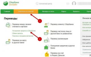 Sberbank에서 대출금을 조기에 상환할 수 있습니까?