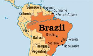 دور البرازيل في الاقتصاد العالمي ظروف النمو والدوافع