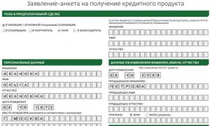 How to fill out the Sberbank application form to receive a loan